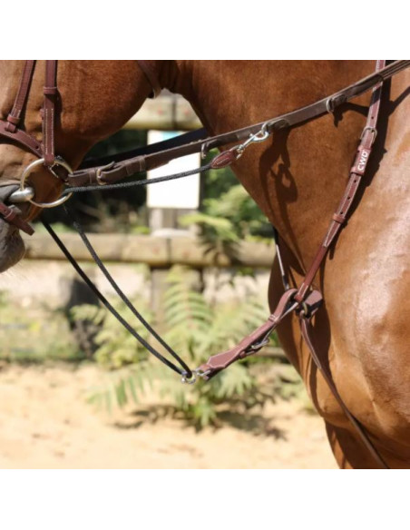 Enrênement CWD Howlet