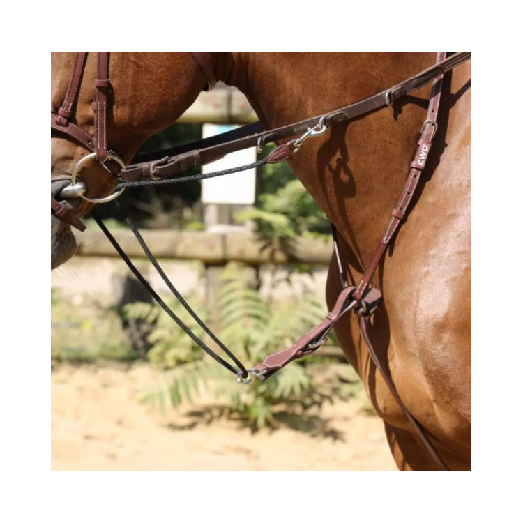 Enrênement CWD Howlet