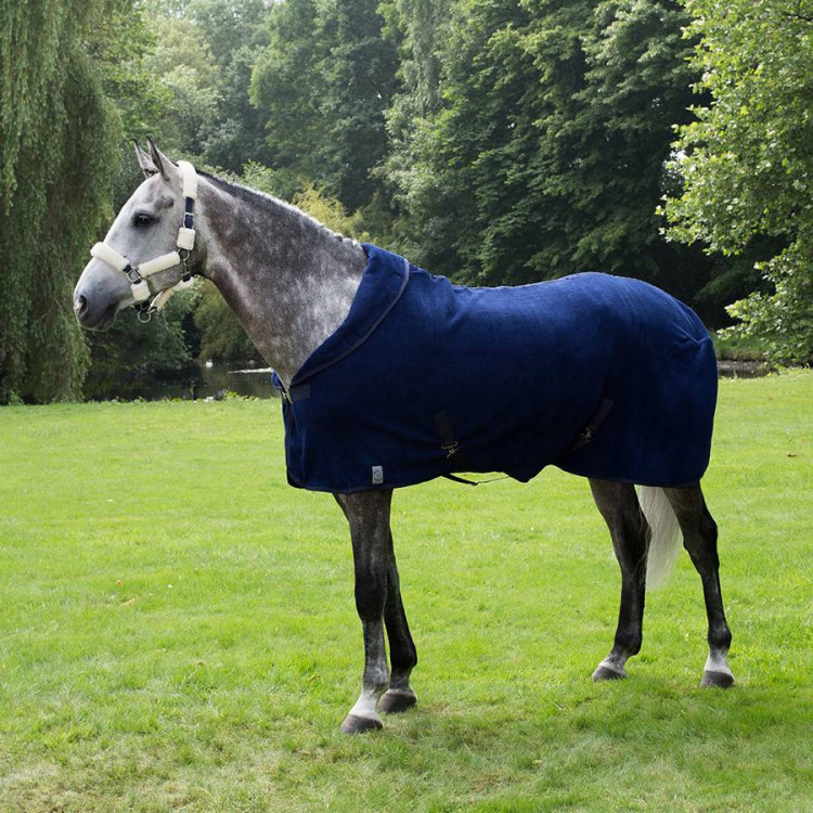 Chemise Greenfield Polaire Teddy Marine