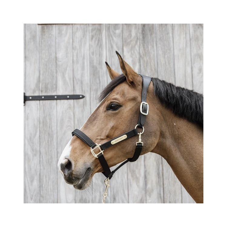Kentucky Horsewear Licol Cuir Anatomic - Boutique Equus Vitalis