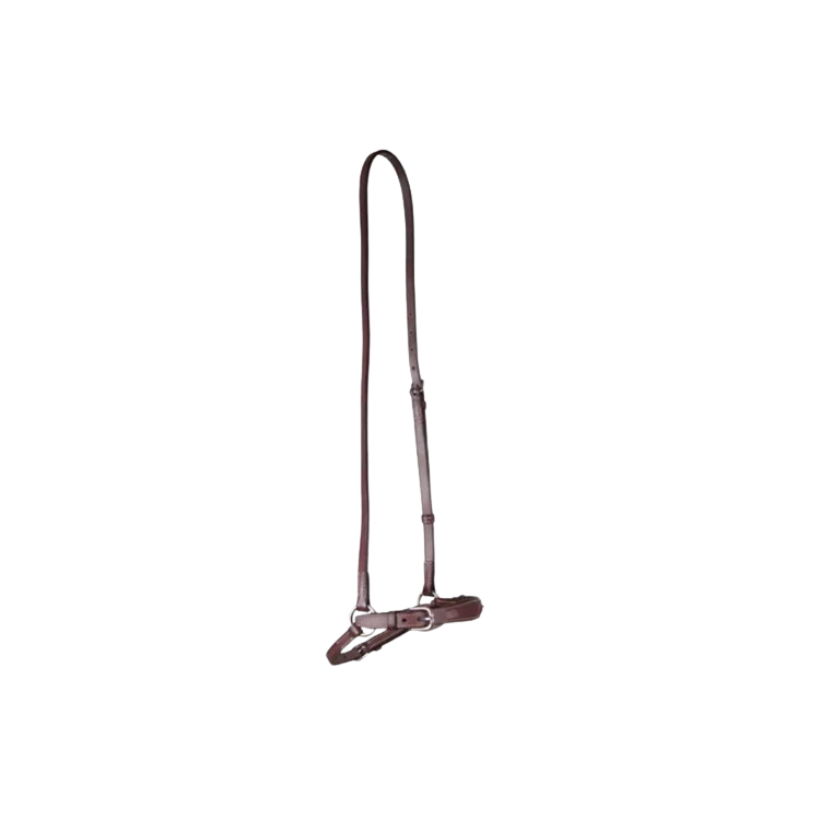 Muserolle CWD Allemande châtaigne