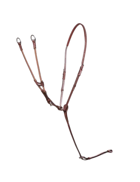 Martingale CWD Elastique châtaigne