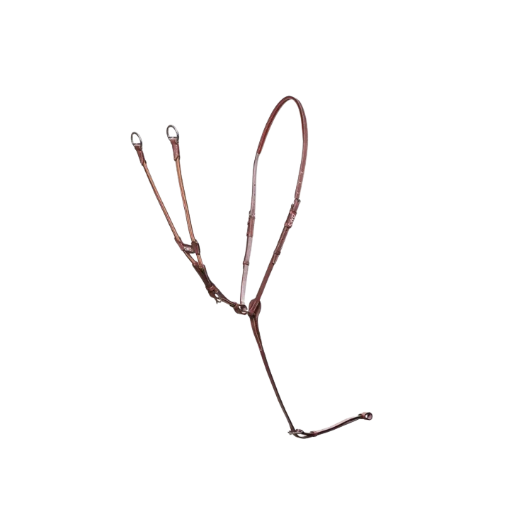 Martingale CWD Elastique châtaigne