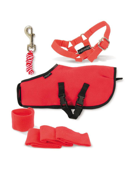 Set Polaire Crafty Ponies Rouge