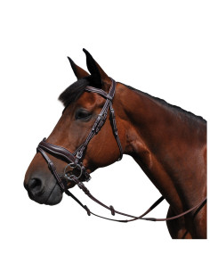 Bridon Flags & Cup Copenhague