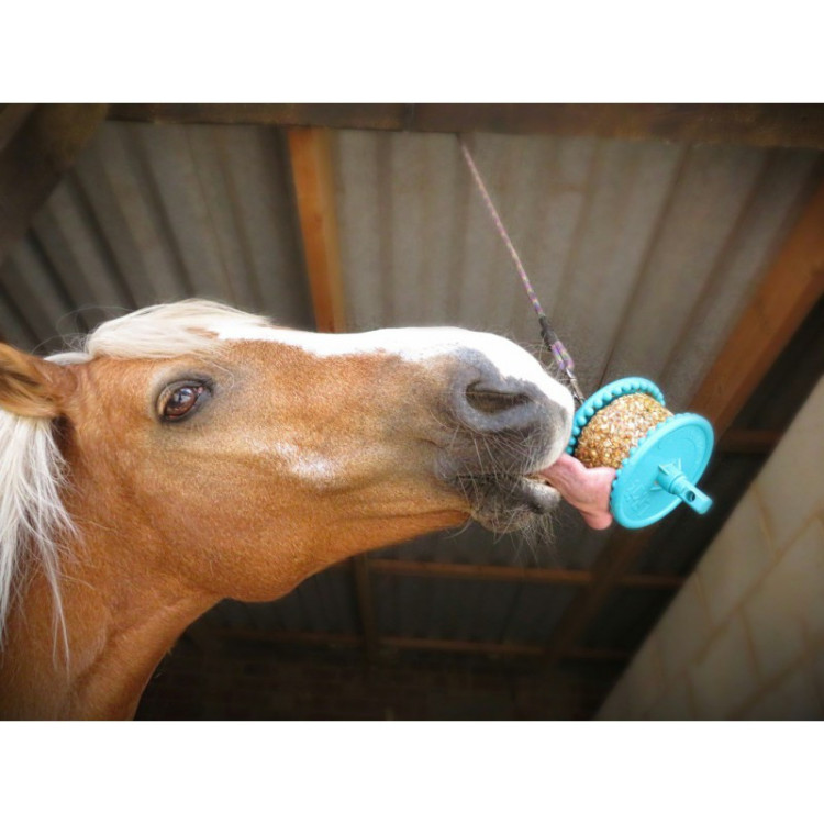 Likit Granola  Friandises pour chevaux