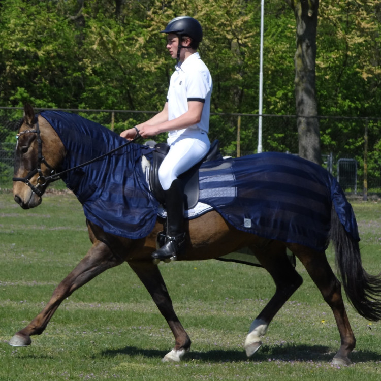 Couvre-Reins + Cou Greenfield Anti-Mouches Amovible