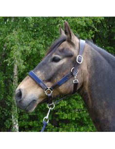 Licol Greenfield Nylon Tressé Vert 2