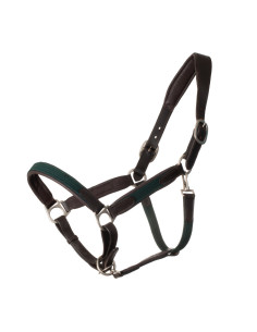 Licol Greenfield Nylon Tressé Vert