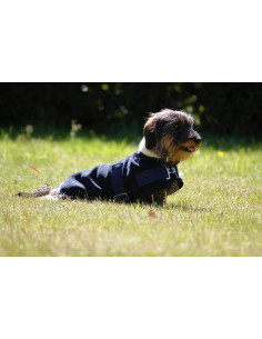 Manteau Greenfield Pour Chien Polaire Teddy Marine 2
