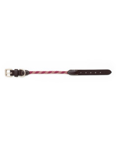 Collier Pour Chien Greenfield En Corde Bordeaux/beige