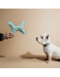 Jouet Pour Chien Kentucky Pastel Emeraude 2