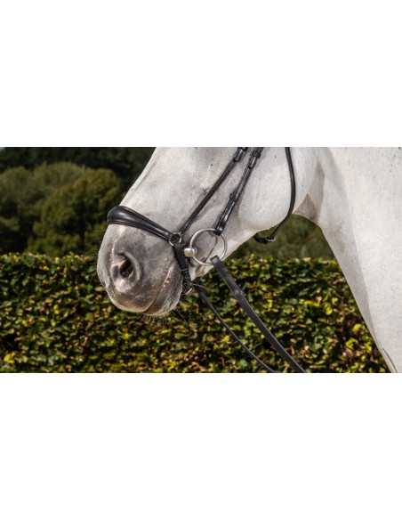 Muserolle Allemande Dy'on Pull Back Mat noir