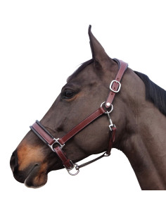 Licol Flags & Cup Comfort