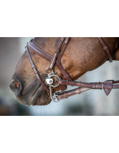 Rênes Dy'on à Alliances Caoutchouc 1/2 Avec 7 Arrêtoirs NEC brun 2