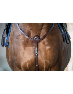 Collier De Chasse Dy'on NEC brun 2