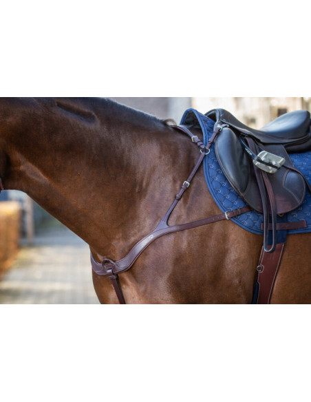 Collier De Chasse Dy'on Anatomique NEC brun