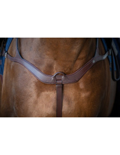 Collier De Chasse Dy'on Anatomique NEC brun 2