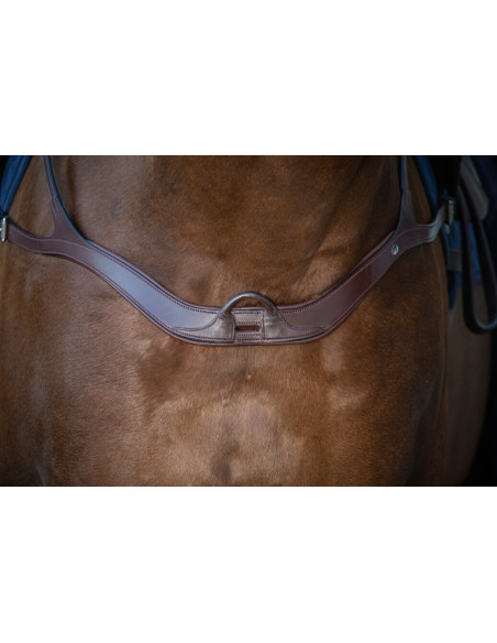 Collier De Chasse Dy'on Anatomique NEC brun