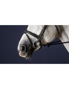 Noseband Dy'on 3/8 NEC noir 2