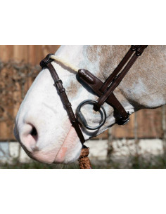 Noseband Dy'on 1/2 Avec Deux Attaches Amovibles brun 2