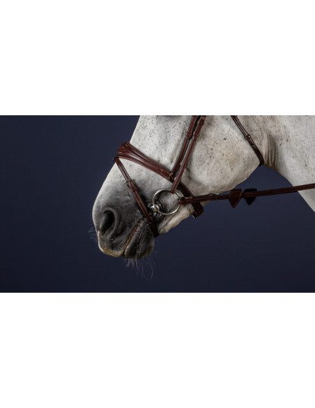 Noseband Dy'on 1/2 NEC brun