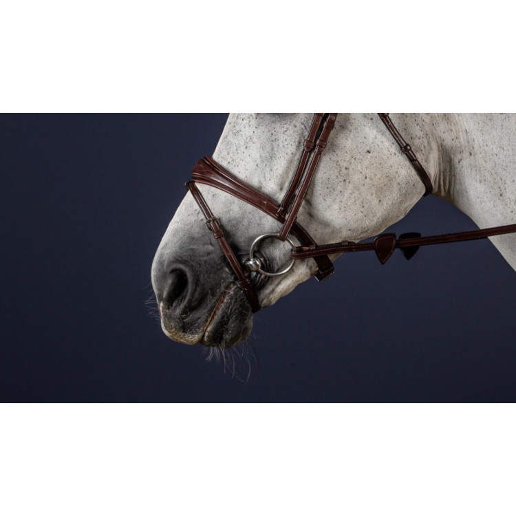 Noseband Dy'on 1/2 NEC brun