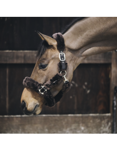 Licol Kentucky Mouton gris 2