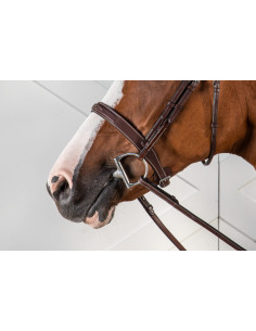Muserolle Hunter Dy'on Hunter brun 2