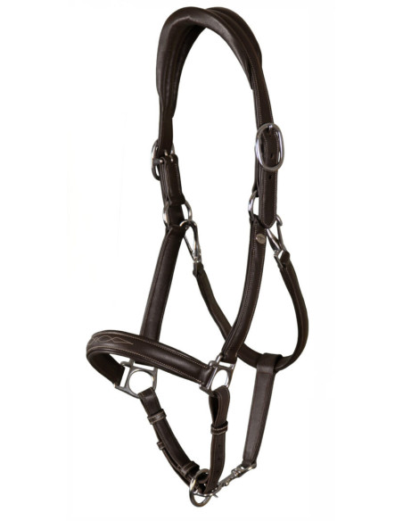 Licol Dy'on Cuir Extra Souple Working brun