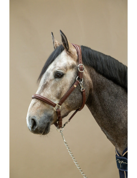 Licol Dy'on Cuir Extra Souple Working brun