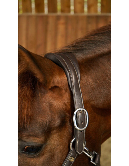 Licol Dy'on Cuir Extra Souple Working brun