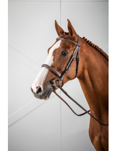 Bridon Dy'on Muserolle Française Hunter brun 2