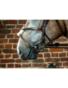 Muserolle Croisée Dy'on D Collection brun 2