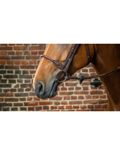 Muserolle Dy'on En Corde Recouverte De Cuir brun 2