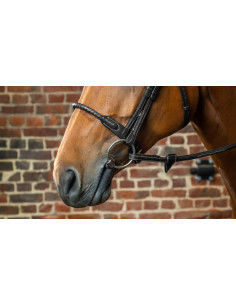 Muserolle Dy'on En Corde Recouverte De Cuir brun 2