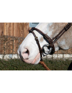 Noseband Dy'on Avec 2 Attaches Amovibles brun 2