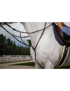 Martingale Dy'on à Anneaux Hunter brun 2