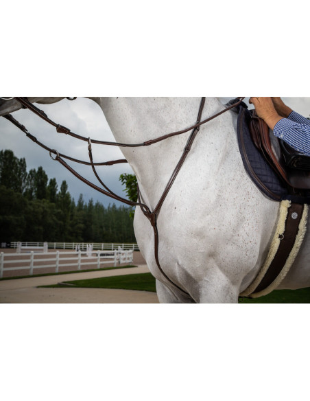 Martingale Dy'on à Anneaux Hunter brun