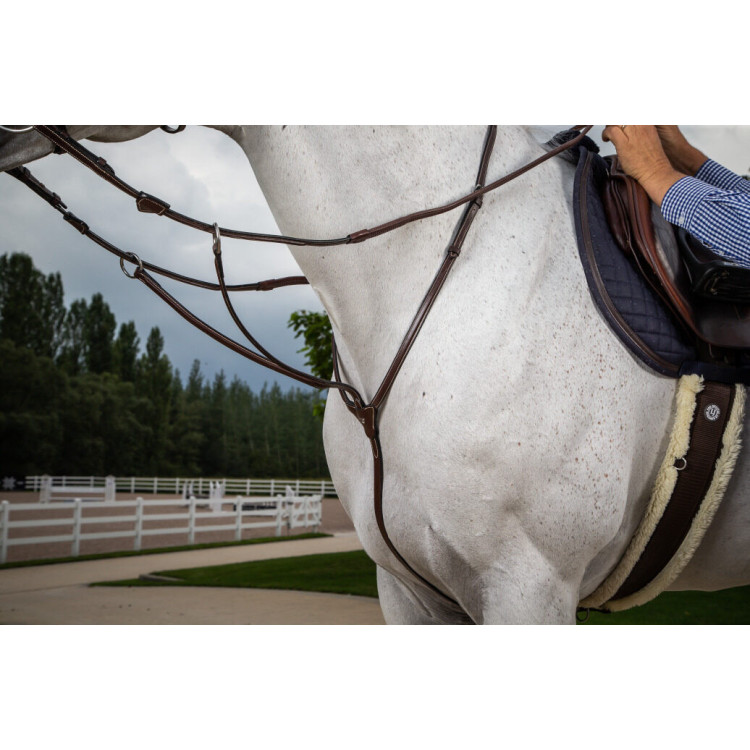 Martingale Dy'on à Anneaux Hunter brun