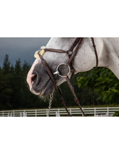 Muserolle Croisée Dy'on Hunter brun 2