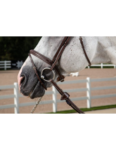 Noseband Dy'on 3/8 Hunter brun 2