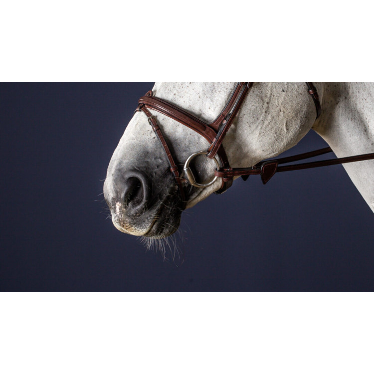 Muserolle Combinée Dy'on NEC brun