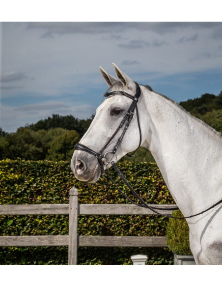 Bridon Dy'on Muserolle Allemande NEC Dressage noir