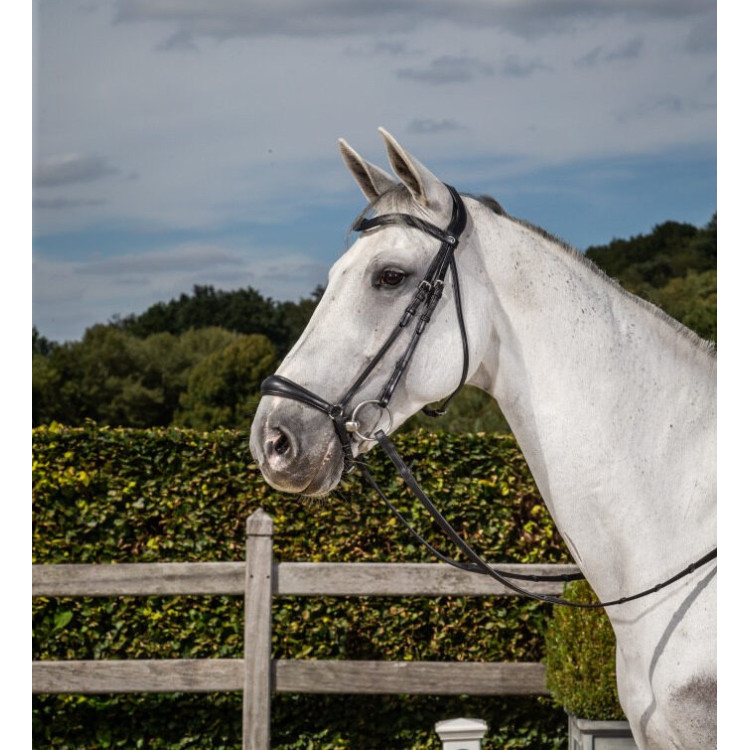 Bridon Dy'on Muserolle Allemande NEC Dressage noir