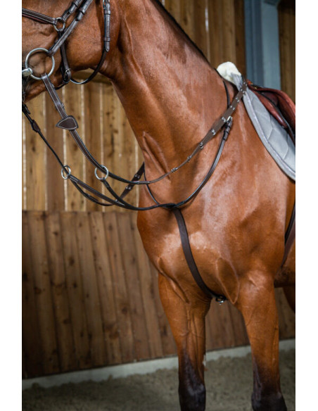 Martingale Dy'on à Anneaux Working brun