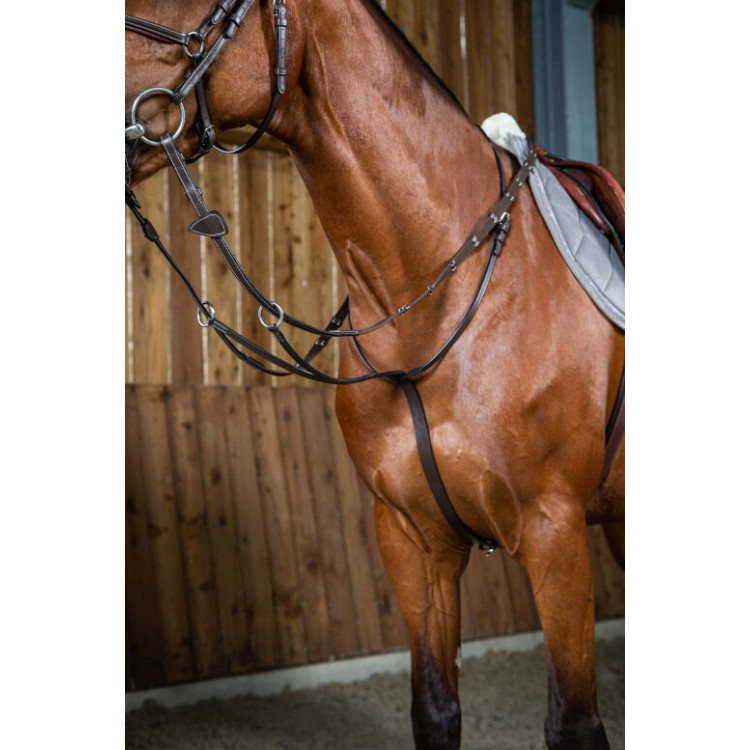 Martingale Dy'on à Anneaux Working brun