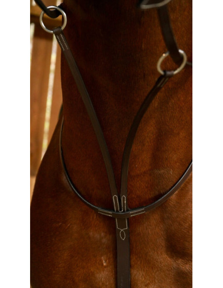 Martingale Dy'on à Anneaux Working brun