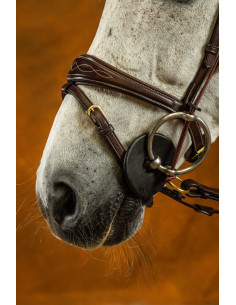 Muserolle Dy'on Combinée Anatomique D Collection Noir 2