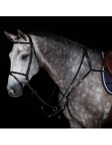 Collier De Chasse Greenfield "Laquée" Veau